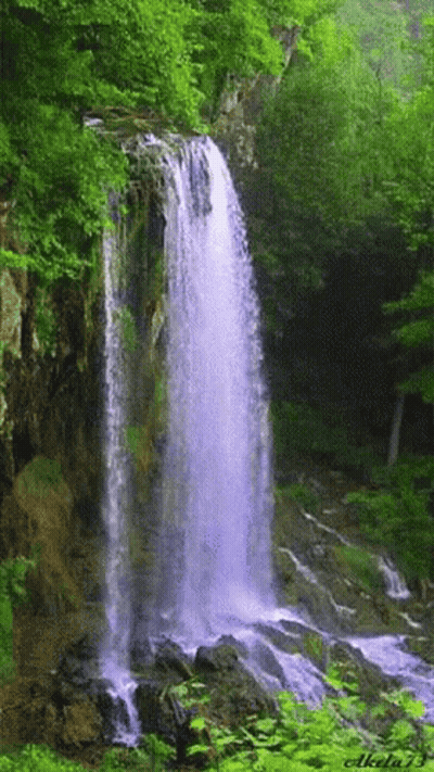 Waterfall Surrounded By Trees And Rocks By Akela13 GIF