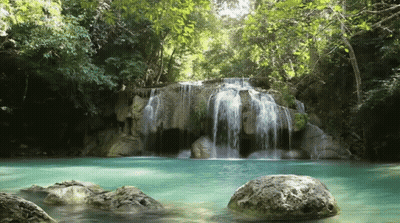 Waterfall Surrounded By Trees And Rocks In Lush Forest GIF