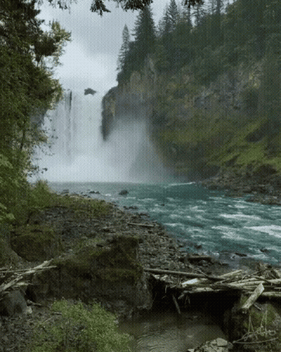 Waterfall Surrounded By Trees And Rocks GIF