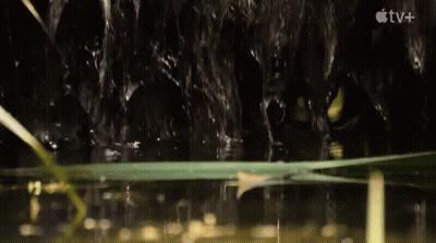 Waterfall With Apple TV+ Logo GIF