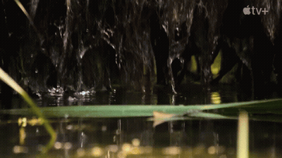 Waterfall With Apple TV Logo GIF