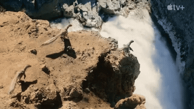 Waterfall With Apple TV+ Logo GIF