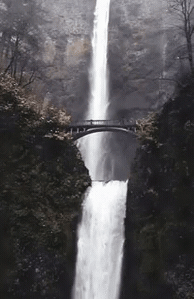 Waterfall With Bridge In Forest GIF