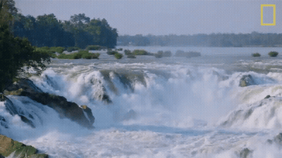 Waterfall With National Geographic Logo GIF