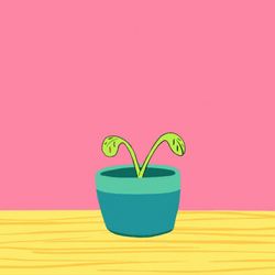 Watering Plants Growth GIF