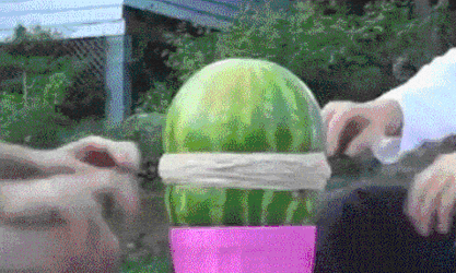 Watermelon On House Yard Exploding GIF