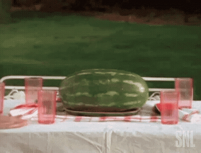 Watermelon Sitting On Picnic Table With Glasses GIF