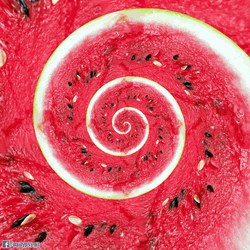 Watermelon Spiral Loop GIF