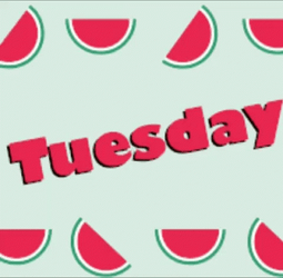 Watermelon Tuesday Meme GIF