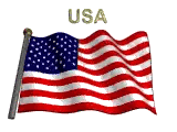 Waving American Flag With USA Sticker