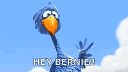 Waving Bird Hey Bernie GIF