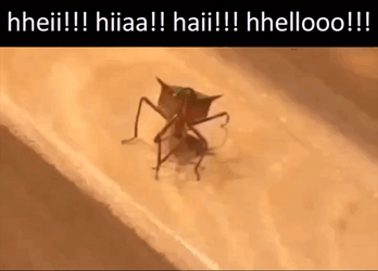 Waving Bug Hello GIF