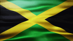 Waving Flag Of Jamaica GIF