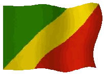 Waving Green Yellow Red Flag Sticker