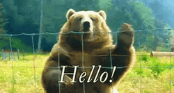 Waving Hello Bear On Cage GIF