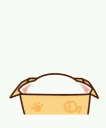Waving Hello Mochi Cat On Box GIF