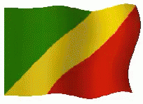 Waving Pixel Flag Republic Of Congo