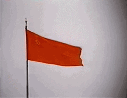 Waving Red Flag GIF