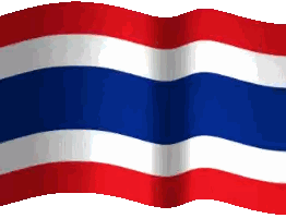 Waving Red White Blue Flag Sticker