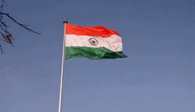 Waving Red White Green Flag GIF