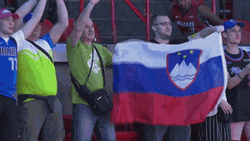 Waving The Flag Of Slovenia