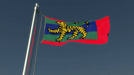Waving Tiger Flag GIF