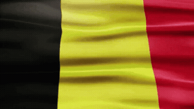 Waving Yellow Red Black Striped Flag GIF