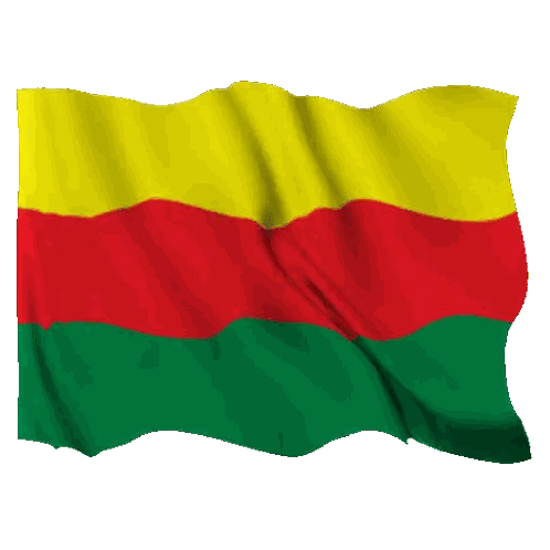 Waving Yellow Red Green Flag Sticker