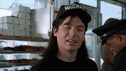 Waynes World Wayne And Garth Wait A Minute GIF