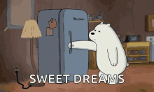 We Bare Bears Ice Sleep Inside Fridge GIF