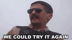 We Could Try It Again Reno 911 GIF
