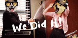 We Did It Joe Dog Head Swap Dancing GIF