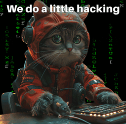 We Do A Little Hacking Hacker GIF
