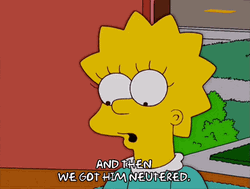 We Got Him Lisa Simpson GIF
