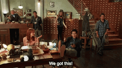 We Got This Librarians GIF