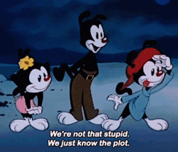 We Just Know The Plot Yakko Warner GIF