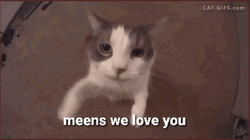 We Love You GIF