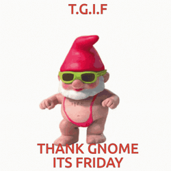 We Made It Friday GIF