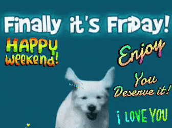 We Made It Jumping Puppy GIF