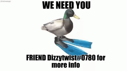 We Need You Duck Spinning  GIF