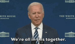 We're All In This Together Joe Biden GIF