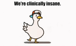 We're Clinically Insane GIF