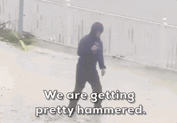 We're Getting Pretty Hammered Hurricane Meme GIF