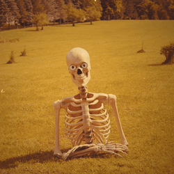 We're You At I'm Waiting Meme GIF