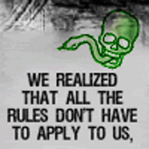 We Realized That All The Rules Don 'T Have To Apply To Us , GIF
