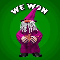 We Won England Wizard GIF