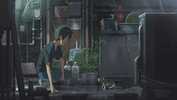 Weathering With You Hodaka Feeding Cat GIF