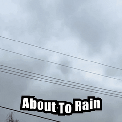 Weatherman Wannabe Making Prediction GIF