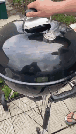 Weber Kettle Grilling Fail GIF