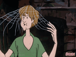 Webs On Shaggy Head Coughing GIF